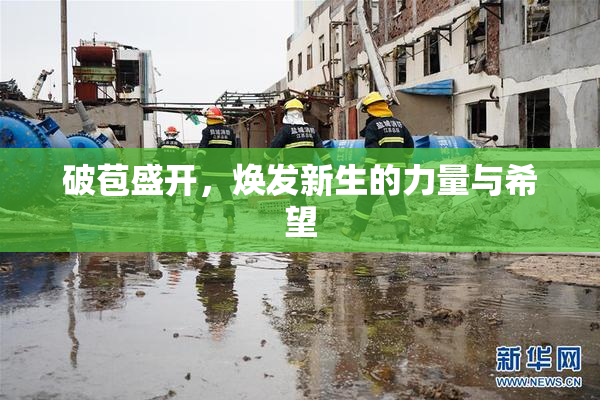 破苞盛开，焕发新生的力量与希望