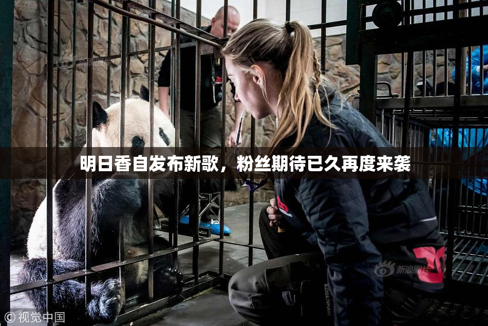 明日香自发布新歌，粉丝期待已久再度来袭