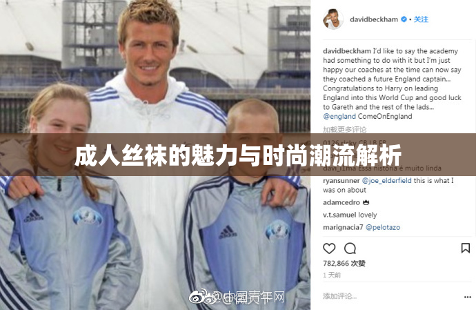 成人丝袜的魅力与时尚潮流解析