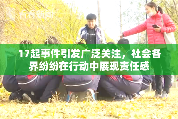 17起事件引发广泛关注，社会各界纷纷在行动中展现责任感