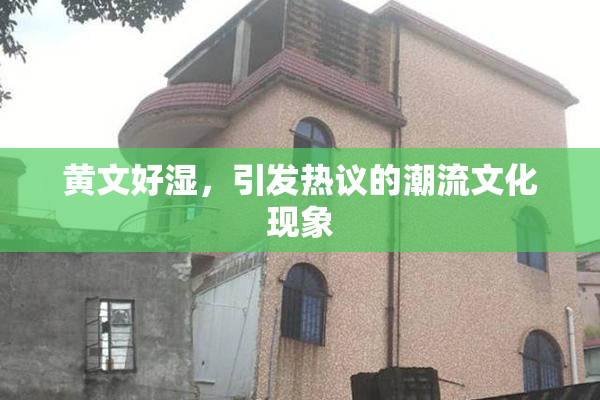 黄文好湿，引发热议的潮流文化现象