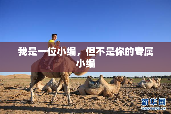 我是一位小编，但不是你的专属小编
