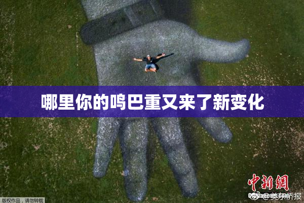 哪里你的鸣巴重又来了新变化