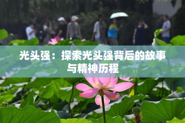 光头强：探索光头强背后的故事与精神历程