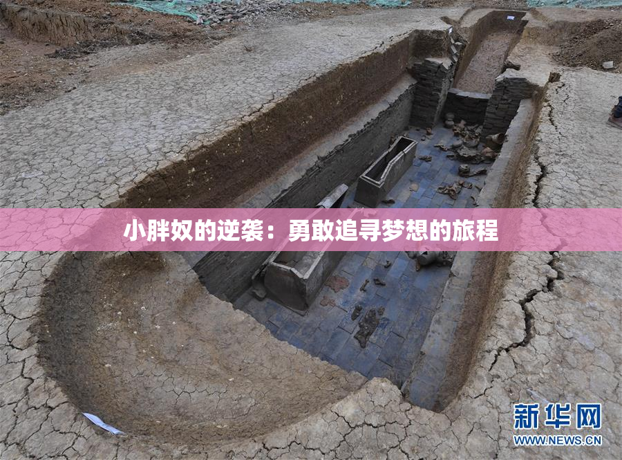 小胖奴的逆袭：勇敢追寻梦想的旅程