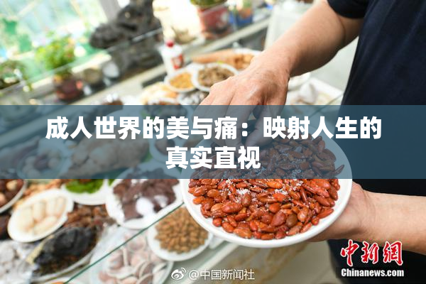 成人世界的美与痛：映射人生的真实直视