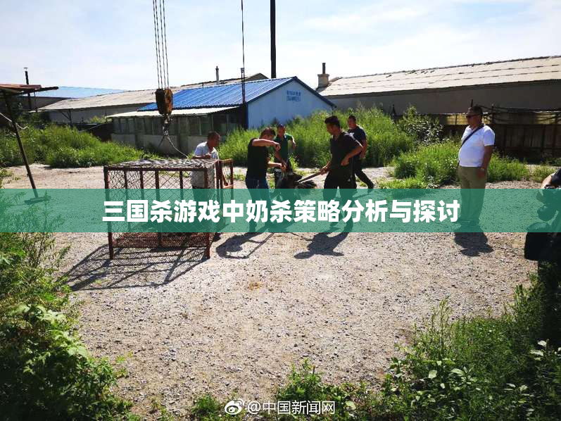 三国杀游戏中奶杀策略分析与探讨