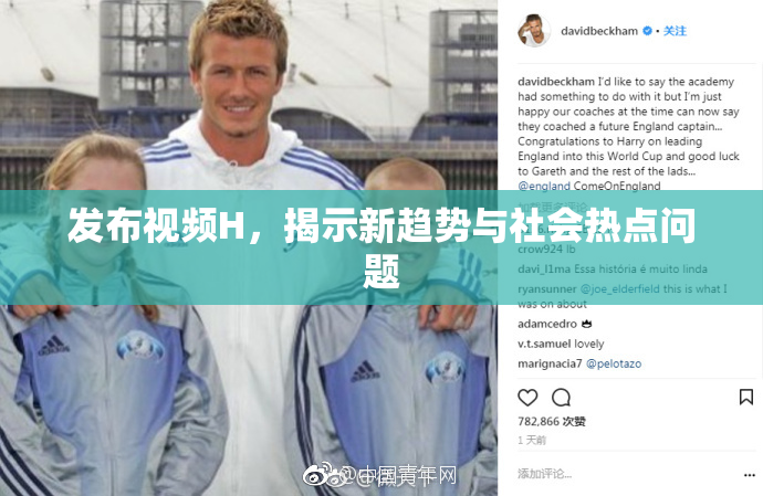 发布视频H，揭示新趋势与社会热点问题