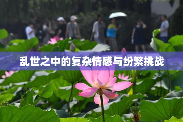乱世之中的复杂情感与纷繁挑战