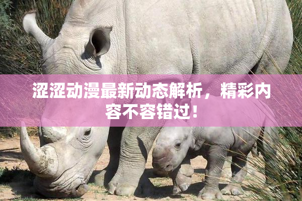 涩涩动漫最新动态解析，精彩内容不容错过！