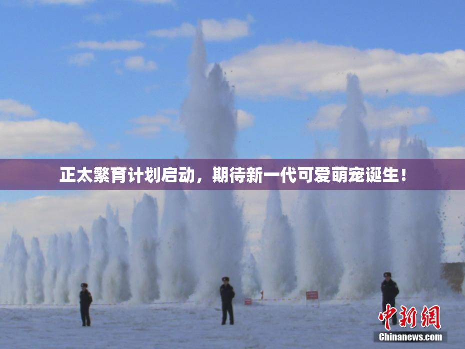 正太繁育计划启动，期待新一代可爱萌宠诞生！