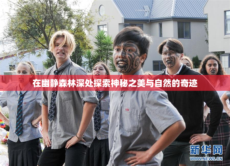 在幽静森林深处探索神秘之美与自然的奇迹
