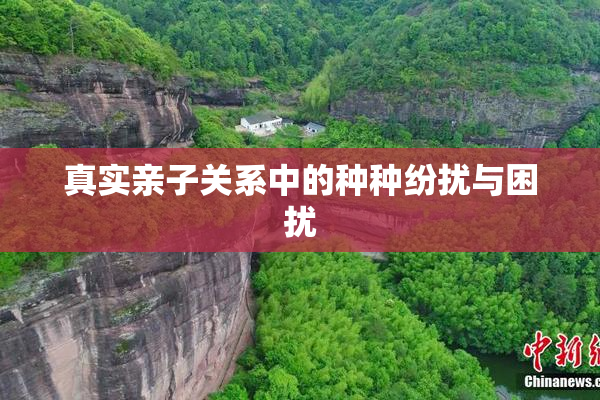 真实亲子关系中的种种纷扰与困扰