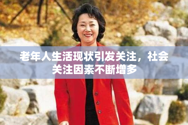 老年人生活现状引发关注，社会关注因素不断增多