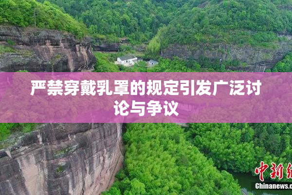 严禁穿戴乳罩的规定引发广泛讨论与争议