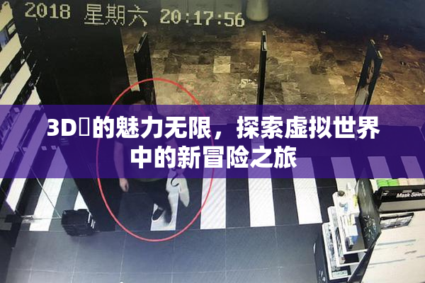 3D姉的魅力无限，探索虚拟世界中的新冒险之旅