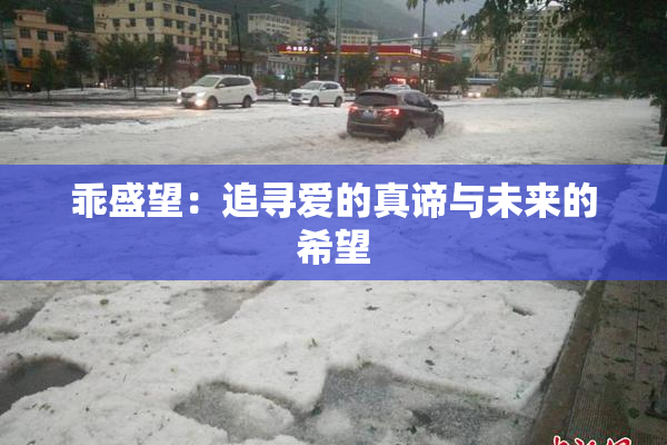 乖盛望：追寻爱的真谛与未来的希望