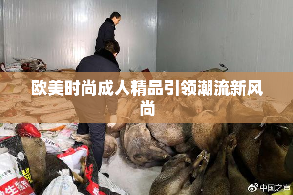 欧美时尚成人精品引领潮流新风尚