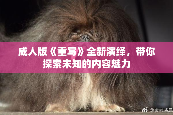 成人版《重写》全新演绎，带你探索未知的内容魅力