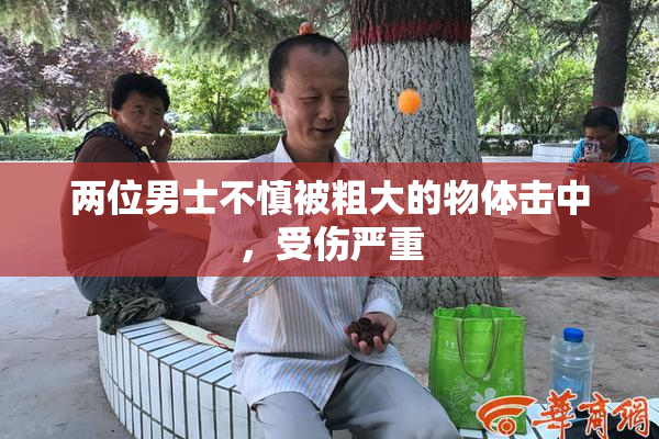 两位男士不慎被粗大的物体击中，受伤严重
