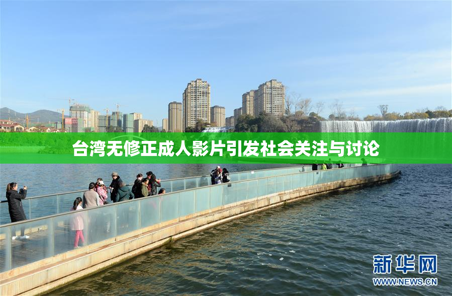 台湾无修正成人影片引发社会关注与讨论