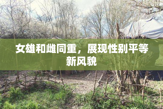 女雄和雌同重，展现性别平等新风貌