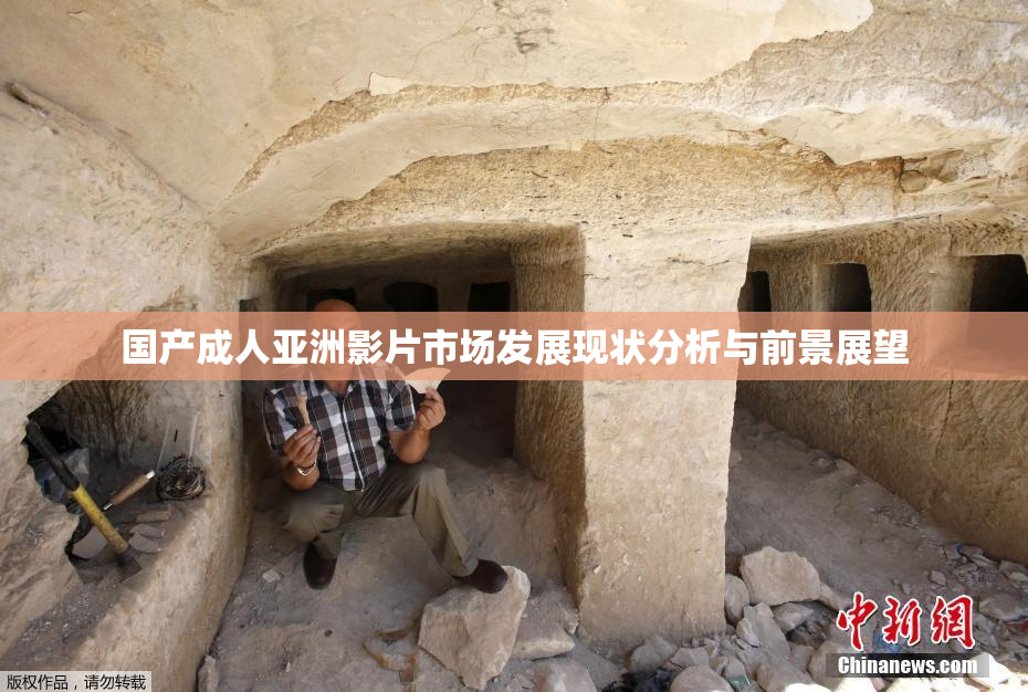 国产成人亚洲影片市场发展现状分析与前景展望