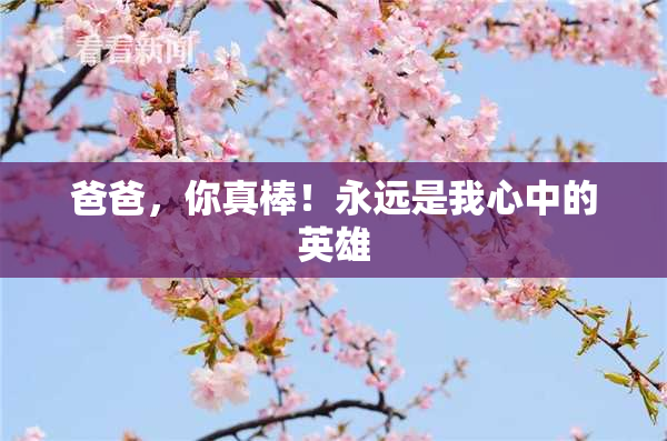 爸爸，你真棒！永远是我心中的英雄
