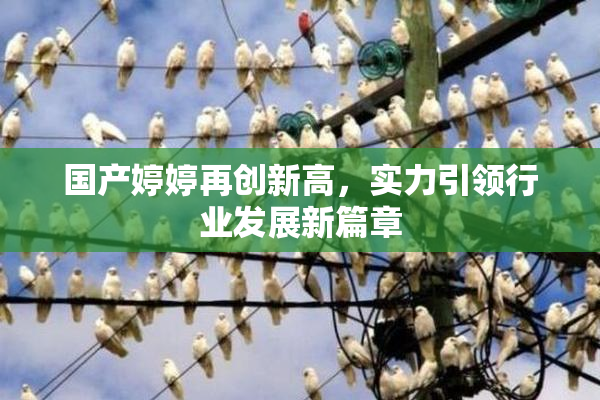 国产婷婷再创新高，实力引领行业发展新篇章