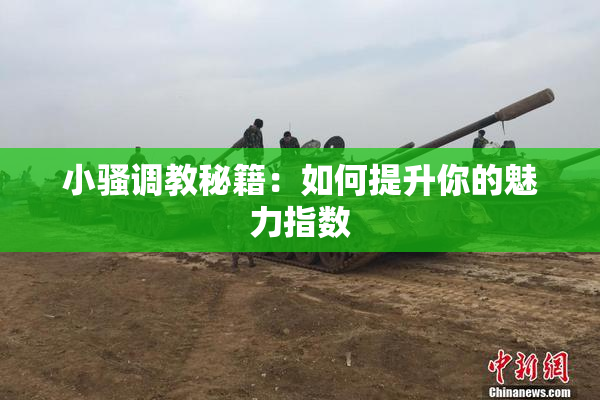 小骚调教秘籍：如何提升你的魅力指数