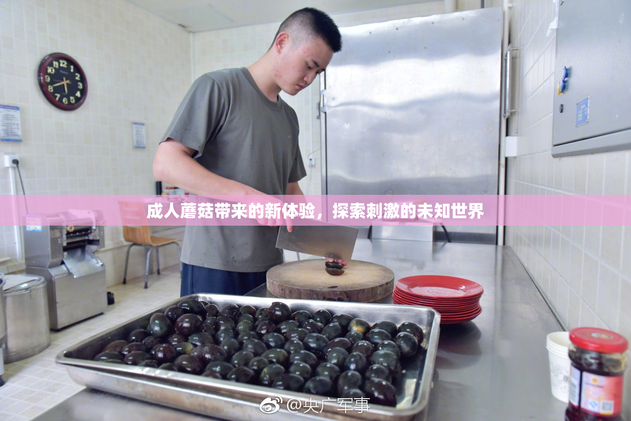 成人蘑菇带来的新体验，探索刺激的未知世界