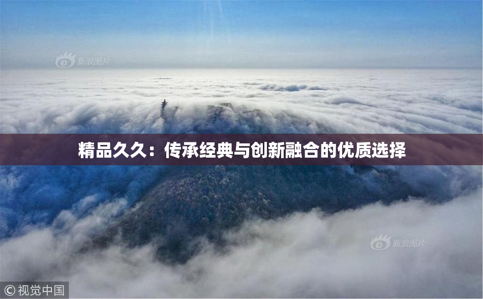 精品久久：传承经典与创新融合的优质选择
