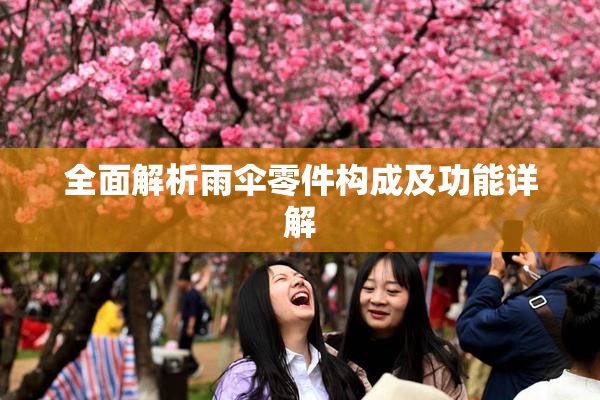 全面解析雨伞零件构成及功能详解