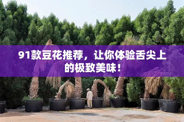 91款豆花推荐，让你体验舌尖上的极致美味！
