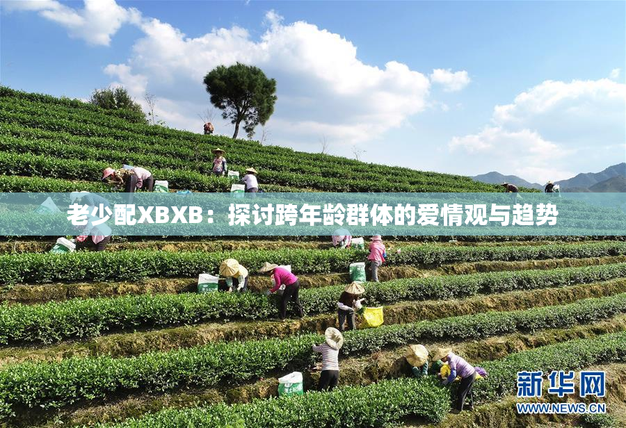 老少配XBXB：探讨跨年龄群体的爱情观与趋势