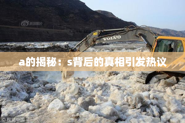 a的揭秘：s背后的真相引发热议
