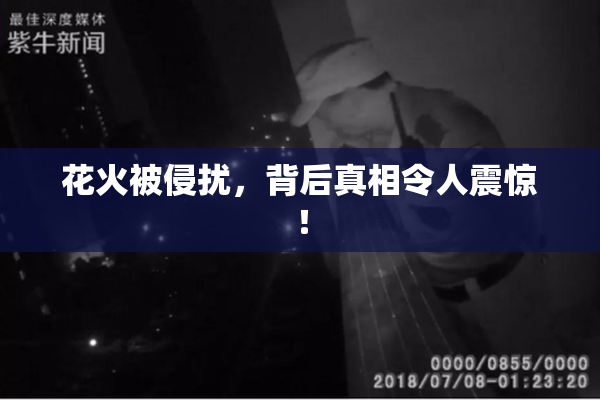 花火被侵扰，背后真相令人震惊！