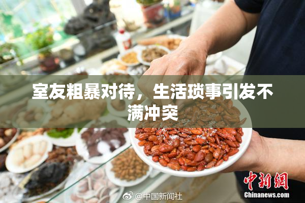 室友粗暴对待，生活琐事引发不满冲突