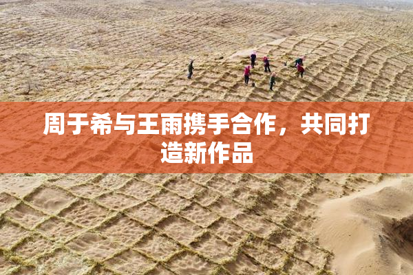 周于希与王雨携手合作，共同打造新作品