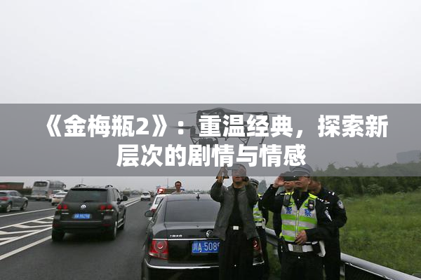 《金梅瓶2》：重温经典，探索新层次的剧情与情感
