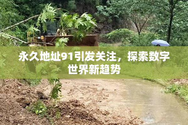 永久地址91引发关注，探索数字世界新趋势