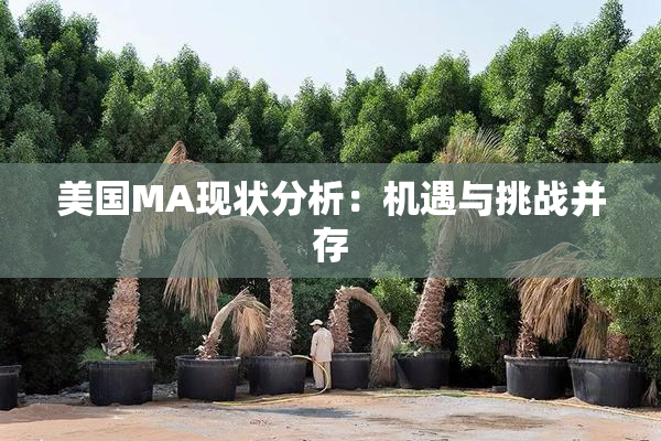 美国MA现状分析：机遇与挑战并存