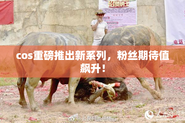 cos重磅推出新系列，粉丝期待值飙升！