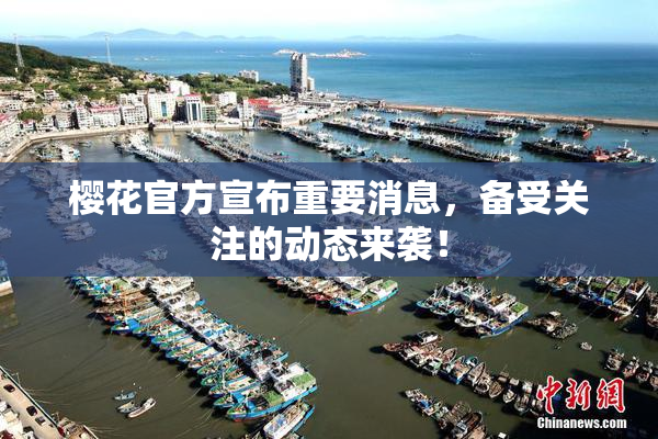 樱花官方宣布重要消息，备受关注的动态来袭！