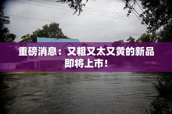 重磅消息：又粗又太又黄的新品即将上市！