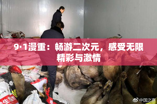 9·1漫重：畅游二次元，感受无限精彩与激情