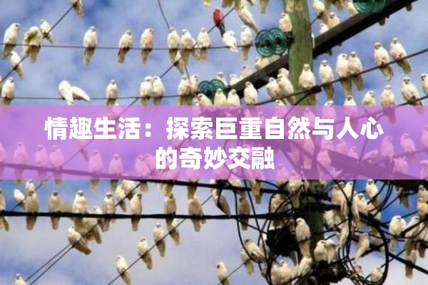 情趣生活：探索巨重自然与人心的奇妙交融