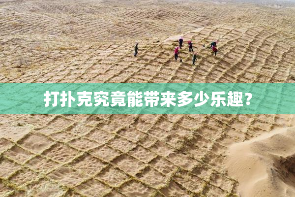 打扑克究竟能带来多少乐趣？