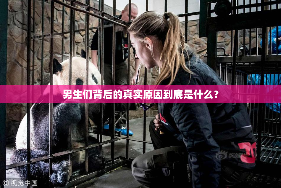 男生们背后的真实原因到底是什么？