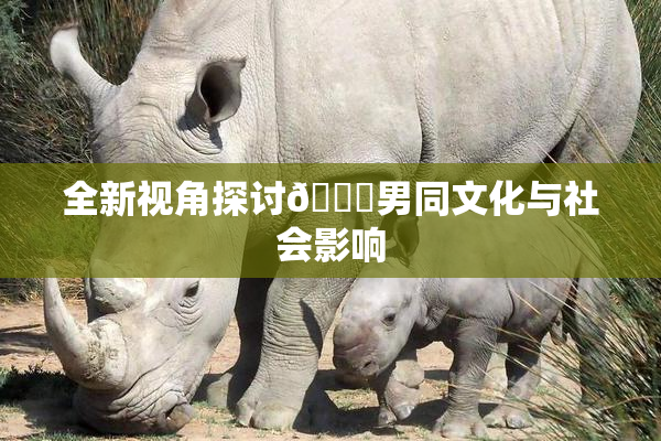 全新视角探讨🔞男同文化与社会影响